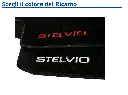 Colore Ricamo.webp